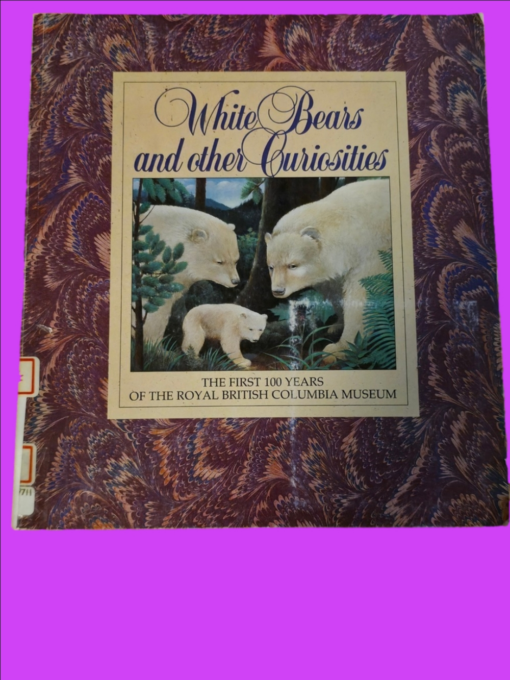 4/$25 Deal! Vintage White Bears and Other Curiosities